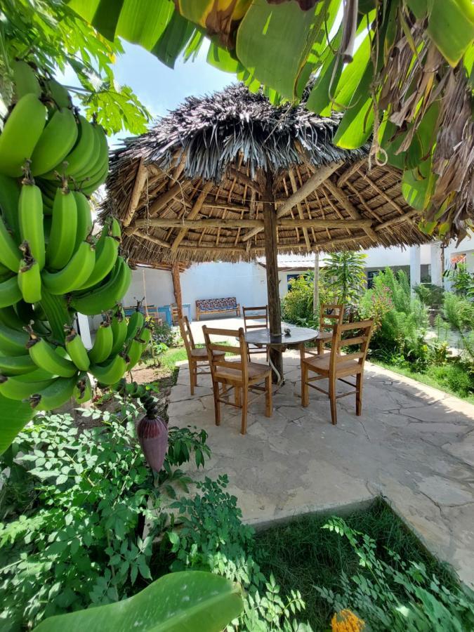 Karibu House Alojamento de Acomodação e Pequeno-almoço Paje